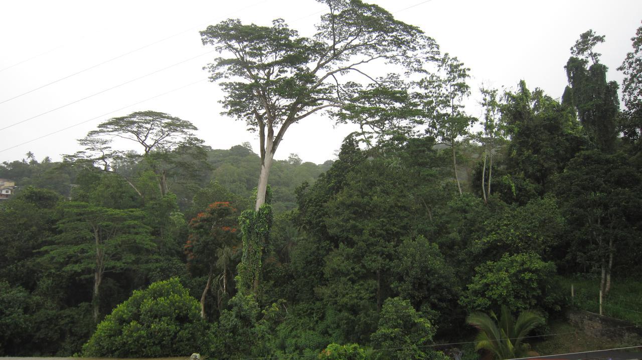 Bethel Rest Homestay Kandy Luaran gambar